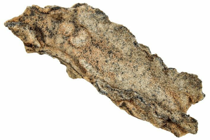 3-2-fulgurite-petrified-lightning-260445-for-sale-fossilera